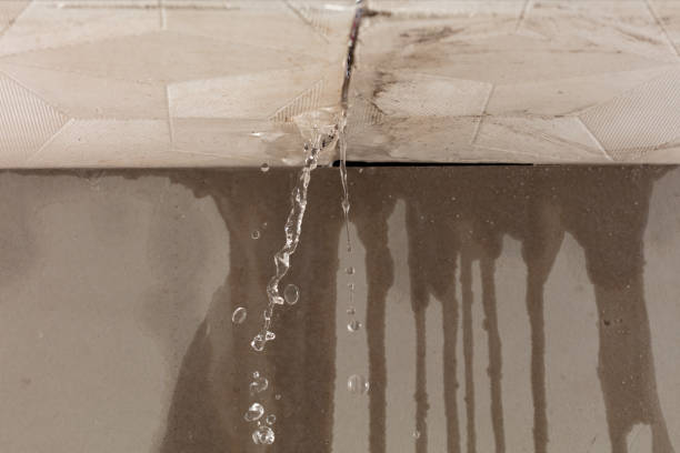 Professional Water Extraction technician working in Oakland, MD